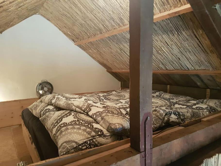 Balistyle Guesthouse Incl Hottub Near Amsterdam And Haarlem Velsen-Zuid Exteriör bild